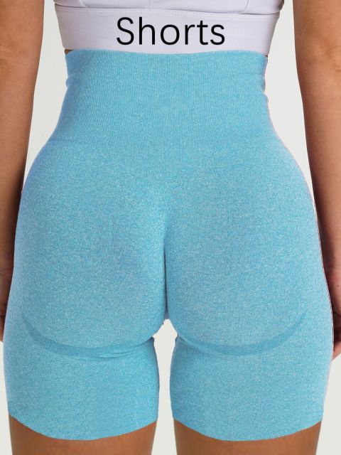 Seamless High Waist Leggings/Shorts