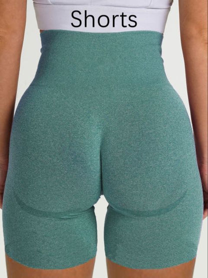 Seamless High Waist Leggings/Shorts