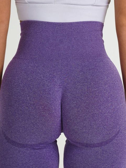 Seamless High Waist Leggings/Shorts